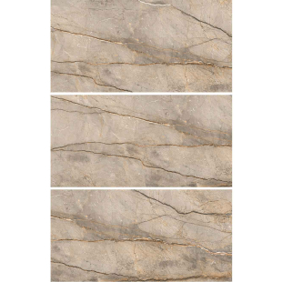 Chorus Brown Pol (G) 60x120 R