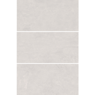 Ashen Grey Mat 60x120 R