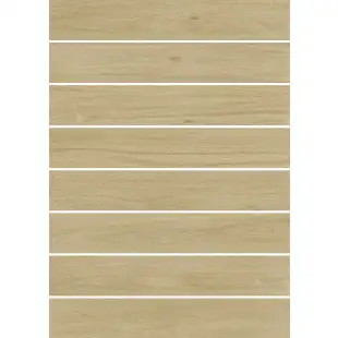 OakWood Бежевый мат. 20x120 R