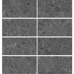 Grigio Billiemi Nero Pol (G) 60x120 R