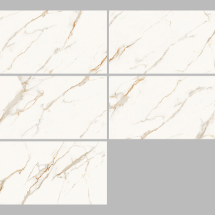 Golden Statuario Pol (G) 60x120 R