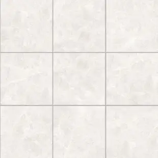 Mistiq White Mat 60x60 R