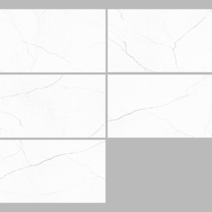 Harmony Gris Pol (G) 60x120 R