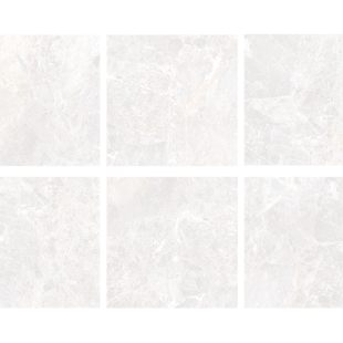 Emperador Silver Pol (G) 80x80 R