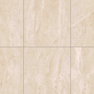 Toledo Dark Mat 60x60 R (DS60922)