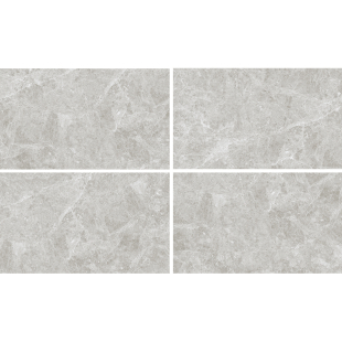 Mistiq Grey Pol (G) 60x120 R