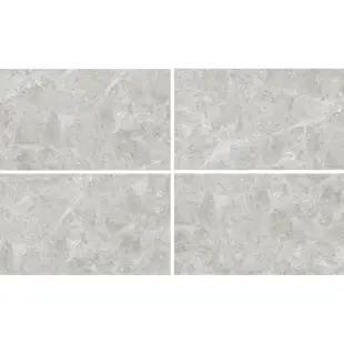 Mistiq Grey Pol (G) 60x120 R
