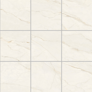 Royal Calacatta Mat 60x60 R