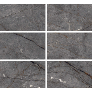 Silver Root Pol (HG) 60x120 R