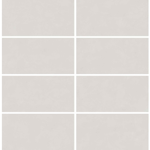 Spectrum Milky White SR-00 60x120 R