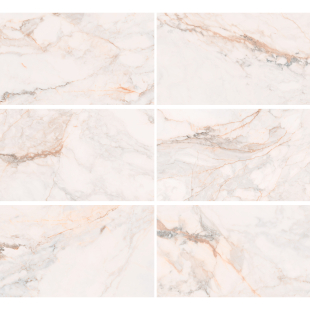 Pisa Gold Pol 45x90 R