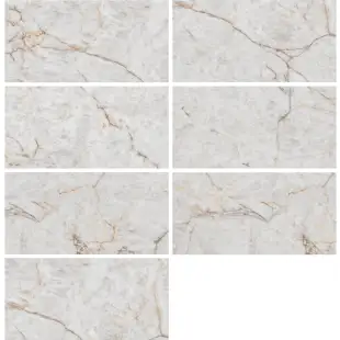 Velour Snow Pol (G) 60x120 R