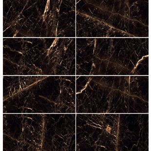 Golden Black Mat 60x120 R