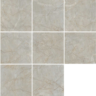 Italian Pantone Pol (G) 60x60 R