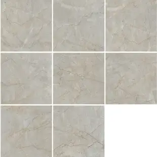 Italian Pantone Pol (G) 60x60 R
