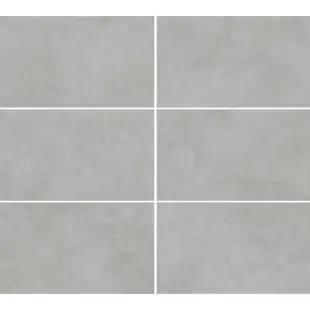 MicroCement Серый мат. 60x120 R