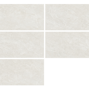 Endless Electro White Pol (G) 60x120 R