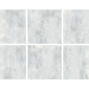 Bronx Silver Sugar 60x60 R