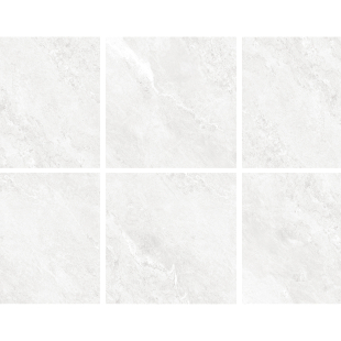 Royal White Sugar 60x60 R