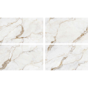 Arbescato Oro Endless Pol (G) 60x120 R