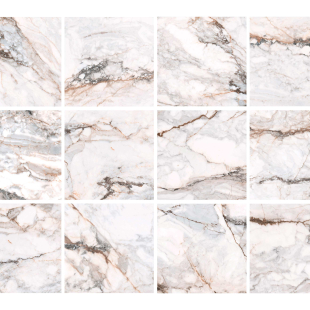 Pisa Gold Pol 60x60 R