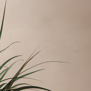 коллекция Баланс