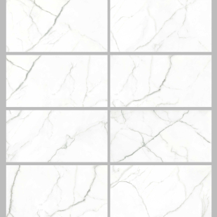Statuario Marc S.Mat 60x120 R