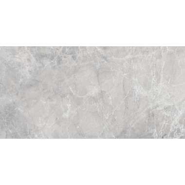 Savanna Grey Brillo 60x120 R