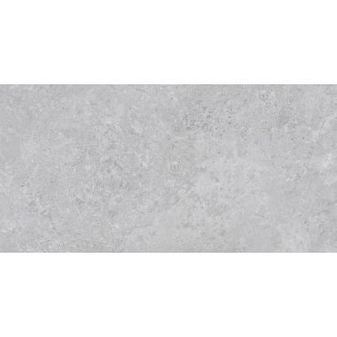Borga Silver Mat 60x120 R Borga Silver Mat 60x120 R