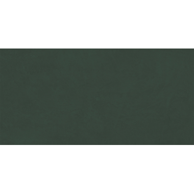 Спектрум Зеленый Мат. 60x120 SR-09 R