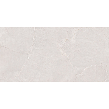 Manresa Cold Pol (G) 60x120 R Manresa Cold Pol (G) 60x120 R