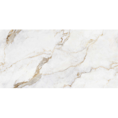 Arbescato Oro Endless Pol (G) 60x120 R