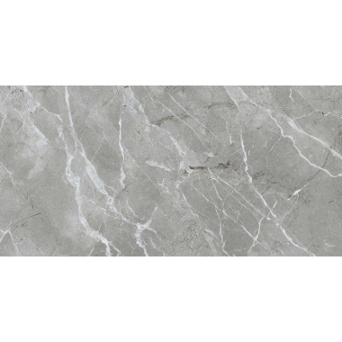 SilkMarble Бреча Серый мат. 60x120 R