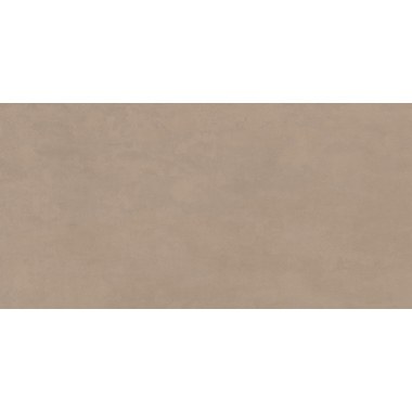 Баланс Мокко мат. 60x120 R