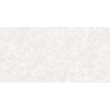 Shade Silver Pol 60x120 R