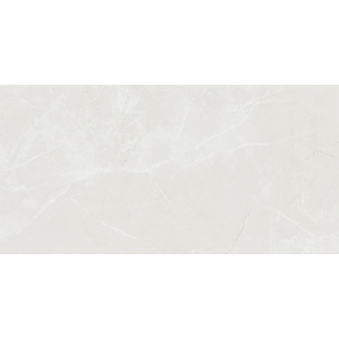 Barroco Light Grey Mat 60x120 R