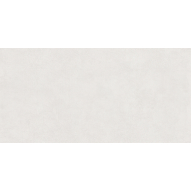 Arena White Mat 60x120 R