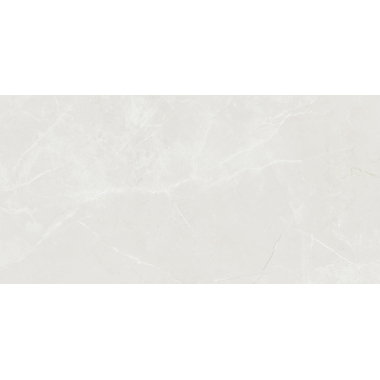 Barroco Light Grey Pol (G) 60x120 R