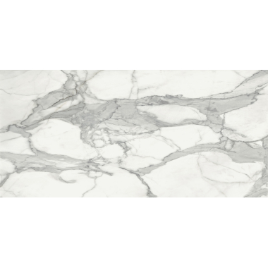 Invictus Pol 120x260 R