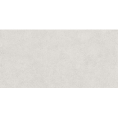 Arena Light Grey Mat 60x120 R