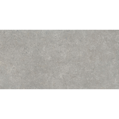 SandStone Серый мат. 60x120 R