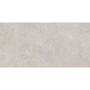 Portland Silver Mat 60x120 R