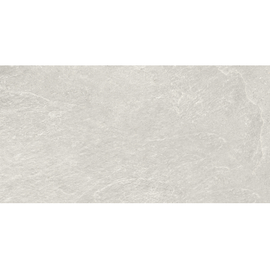 Ardesia Grey Mat 60x120 R