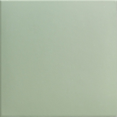 Tech Basil 20x20