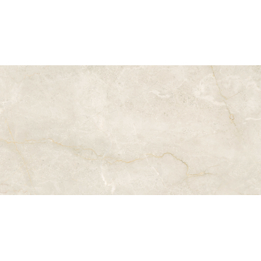 Bottochino Taupe Pol (G) 60x120 R