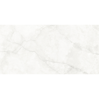 Hermes White Antic 60x120 R