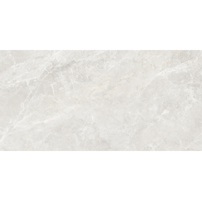 Fresca Light Grey Pol (G) 60x120 R