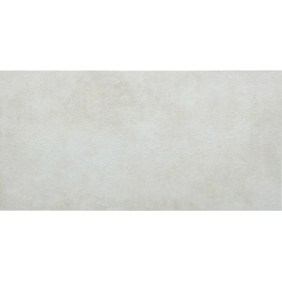 Ales 25 White 60x120 R