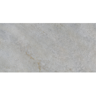 Omega Grey Mat 60x120 R
