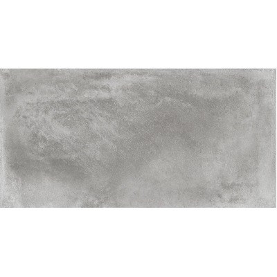 Elite Gris Mat 60x120 R